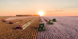 创新智慧农业客户体验 沃丰科技以AI推动农业数字化“春耕”