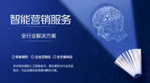  数字化营销驱动智能汽车：SCRM在满足消费升级需求中的关键作用