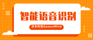 有效的语音识别有哪些功能？