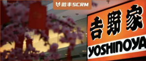 微丰SCRM+智能客服+AI 助吉野家打造全流程营销服务新体系