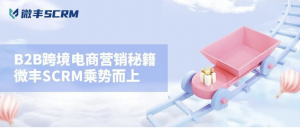 B2B跨境电商营销秘籍 微丰SCRM助马帮科技深度开发和维系客户