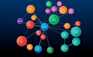 如何玩转WhatsApp私域运营？