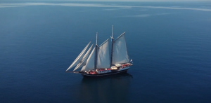 WhatsApp批量群发：高效营销策略解析