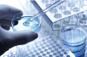 沃丰科技的跨境电商呼叫中心系统——打造无缝沟通的全球商务平台