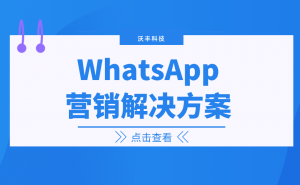全球市场拓展指南：沃丰科技WhatsApp营销解决方案介绍