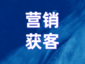 SCRM战略：汽车行业如何借鉴手机销售模式，实现智能汽车的畅销和个性化定制