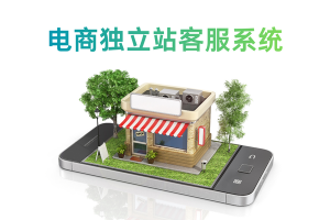 独立站AI客服选型对比，跨境适配款实测测评